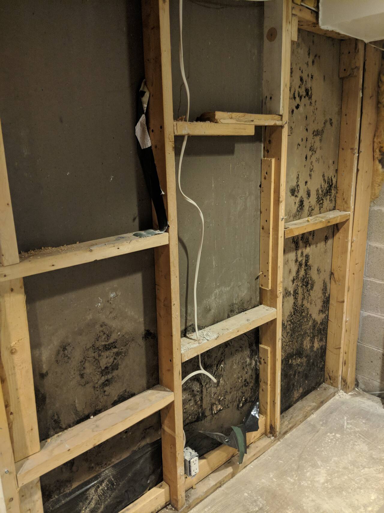Mold removal from drywall during remediation in Chandler, AZ