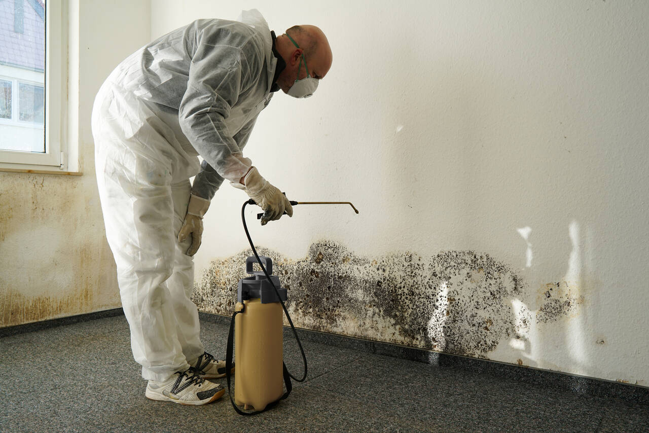 Paul Davis technician performing mold remediation in Mesa, AZ