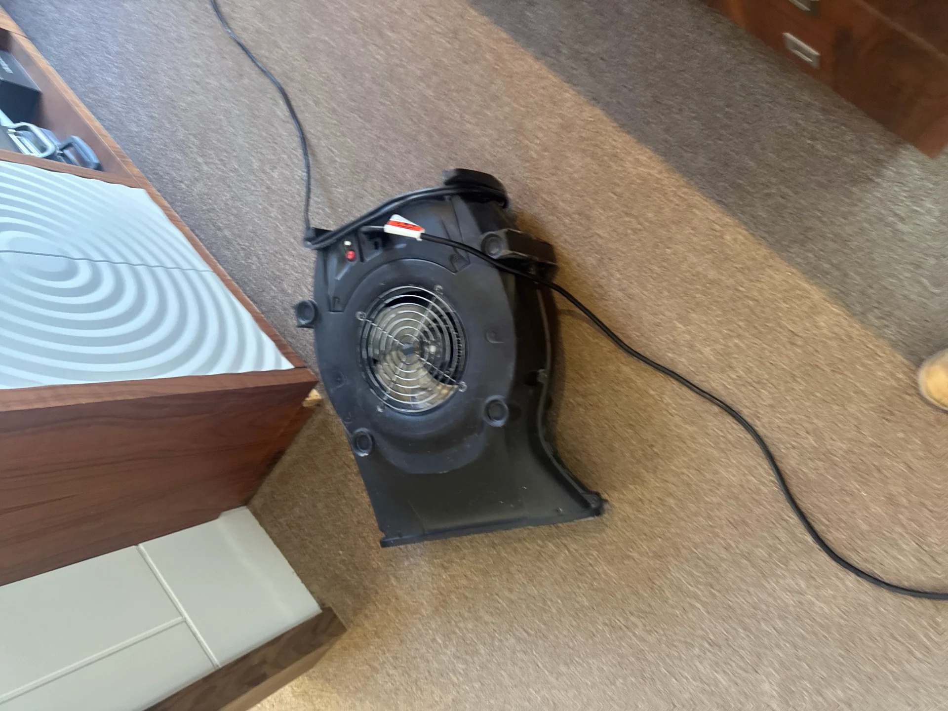 A black air mover drying carpet beside a showroom desk in a Phoenix restoration job site.